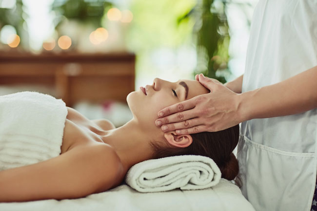 Holistic Therapies category image